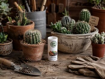 Grow Your Own Cactus Plant, 2 of 4