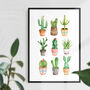 Cactus Watercolour Print Illustrated Set In Green, thumbnail 2 of 5