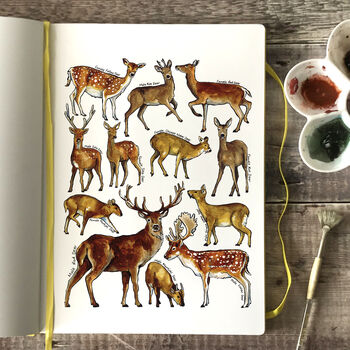 Deer Of Britain Wildlife Watercolour Print, 5 of 6