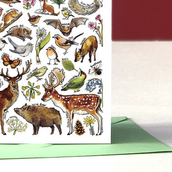 Woodland Wildlife Of Britain Greeting Card, 7 of 8