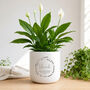 Personalised Birthday Plant Pot Gift | Add A Plant, thumbnail 1 of 8