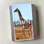 Adopt A Giraffe Gift Tin, thumbnail 3 of 4