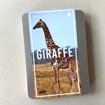 Adopt A Giraffe Gift Tin, 3 of 4