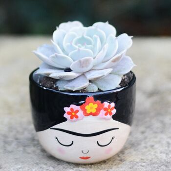 Hand Painted Mini Face Planter With Choice Of Plant, 2 of 2