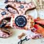Vintage Bear Gingham Dog Collar With Optional Set, thumbnail 10 of 11