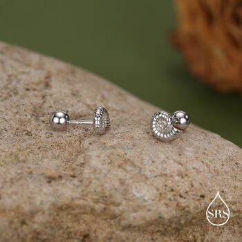 Sterling Silver Ammonite Nautilus Shell 18 G Screw Back Stud Earrings With Ball Backs, 2 of 11