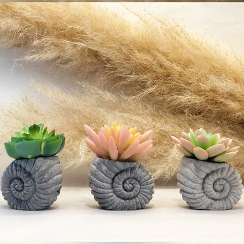Concrete Shell With Faux Cactus Ornament, 4 of 10