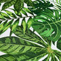 Cushion Cover With Multi Tropical Leaves, thumbnail 2 of 7
