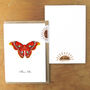 Atlas Moth A6 Greetings Cards, thumbnail 3 of 7