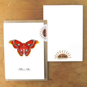 Atlas Moth A6 Greetings Cards, 3 of 7