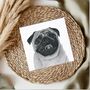 Hand Drawn Adorable Pug Greeting Card, thumbnail 1 of 7