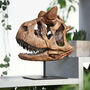 Carnotosaurus 3D Replica Dinosaur Skull, thumbnail 1 of 5