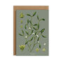 Botanical Christmas Card, Mistletoe, thumbnail 2 of 2