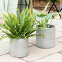Aged Sage Terracotta Plant Pot, thumbnail 1 of 4