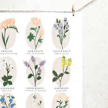 Friendship Language Of Flowers Print, 3 of 4