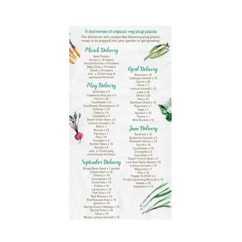 Small Year Round Veg Patch Gift Voucher, 3 of 5