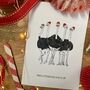 Birds With Santa Hats 2022. Pack Of Six, thumbnail 2 of 5