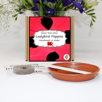 Grow Your Own Ladybird Poppies. Poppy Growing Kit, 2 of 4