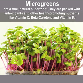 Health And Vitality Microgreens Gift Set, 2 of 7
