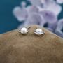 Sterling Silver Mother Of Pearl Planet Stud Earrings, thumbnail 5 of 12