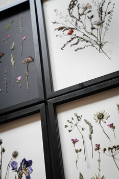 Whisper Stem Original Pressed Flower Art In A3 Black Frame, 7 of 7
