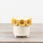 Ceramic 3D Sunflower Planter – Mother’s Day Gift, thumbnail 1 of 4