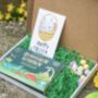 Personalised Childs Letterbox Dinosaur Garden Gift, thumbnail 2 of 2