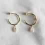 Gold Plated Or 925 Silver Hoops W Freshwater Pearls, thumbnail 1 of 3