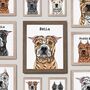 Personalised Pittie Portrait Print, thumbnail 1 of 8