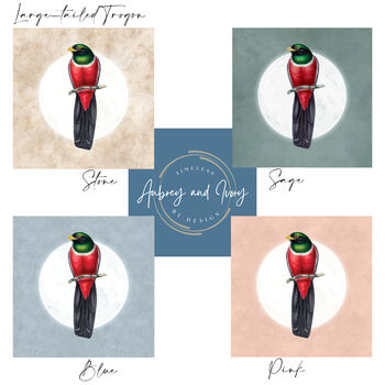 Large Tailed Trogon Moon Art Print – Vintage Japandi Style – Range Of Colours, 2 of 6
