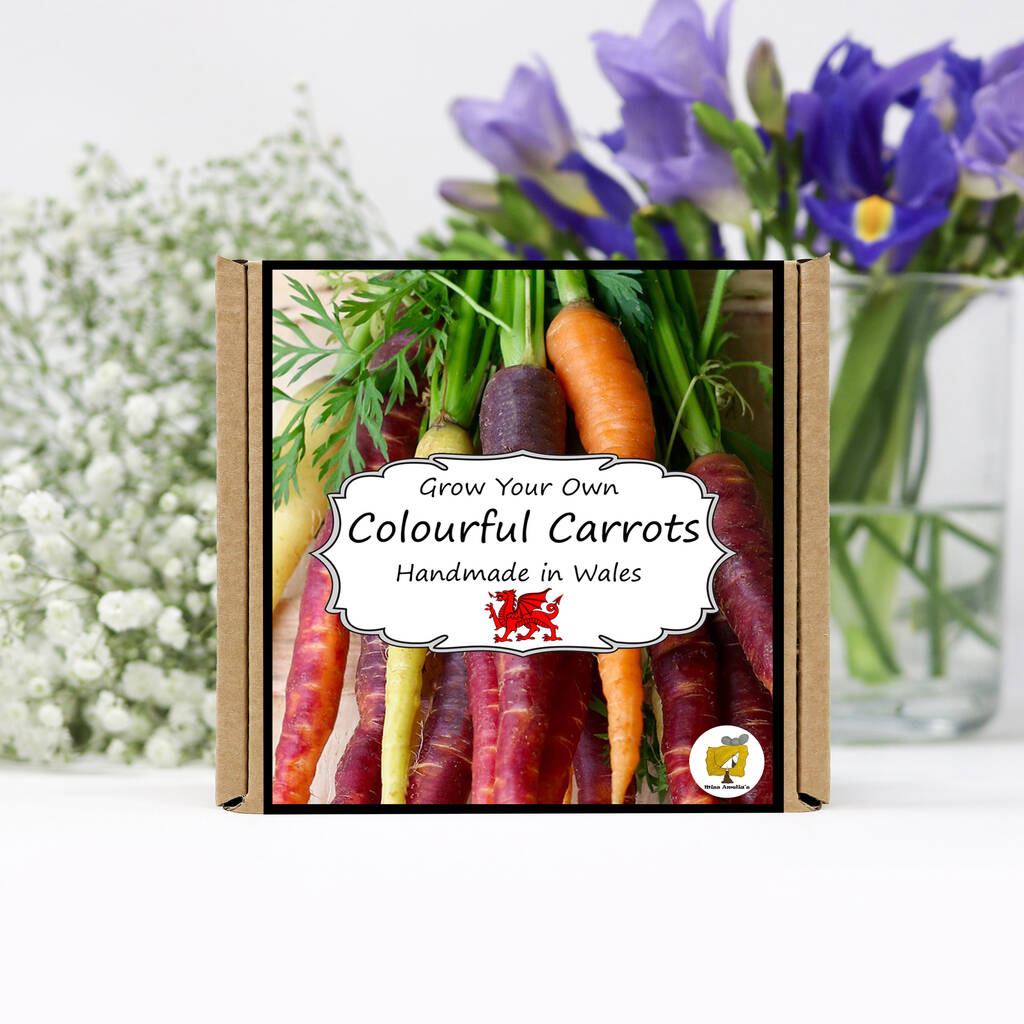 Grow Your Own Rainbow Carrots. Veg Growing Kit, 1 of 4