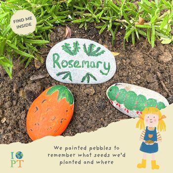 Children's Eco Activity Box: Food Glorious Food, 9 of 12