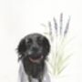 Personalised Pet Portrait Drawing From Your Photos, thumbnail 3 of 7