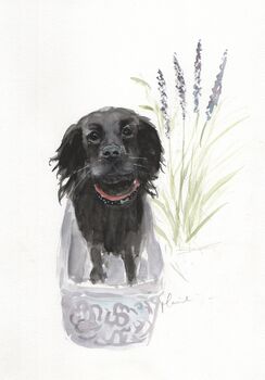 Personalised Pet Portrait Drawing From Your Photos, 3 of 7