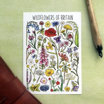 Wildlife Of Britain Greeting Cards Multi Pack Of Twelve, 6 of 12