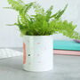 I'm So Rooting For You Plant Pot, thumbnail 5 of 6