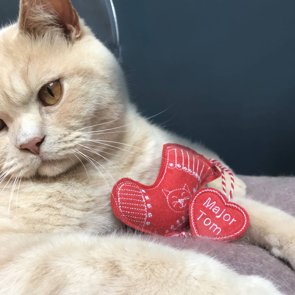 walmart cat toy stocking