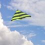 Delta Kite The Bee By Morgan Kites, thumbnail 2 of 9