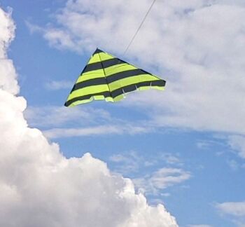 Delta Kite The Bee By Morgan Kites, 2 of 9