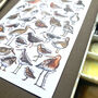 Waders Of Britain Watercolour Postcard, thumbnail 3 of 11