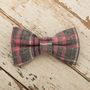 The Winchester Grey Pink Checked Dog Bow Tie Lead Set, thumbnail 6 of 7