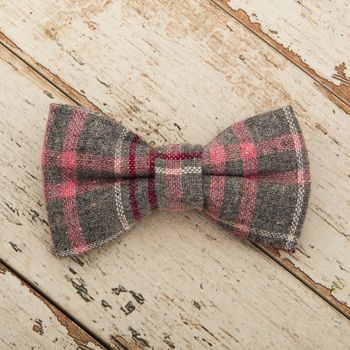 The Winchester Grey Pink Checked Dog Bow Tie Lead Set, 6 of 7