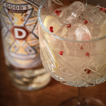 Dodds Explorer's Citrus And Spice Organic Gin, 2 of 4