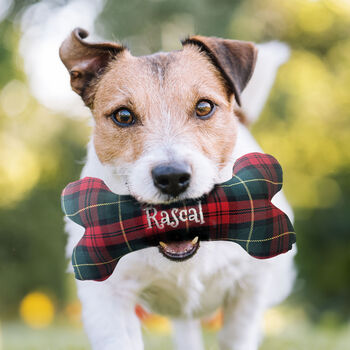 Personalised Christmas Tartan Dog Bone Toy, 2 of 4