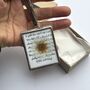 Personalised Paper Daisy Flower And Poetry Mini Framed Gift, thumbnail 9 of 12
