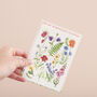 Wildflower Temporary Tattoo Pack, thumbnail 2 of 9