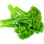 Vegetable Broccoli 'Tenderstem' 12 X Plant Pack, thumbnail 5 of 5