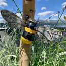 Pair Of Sunflower Garden Stakes By London Garden Trading