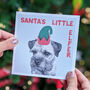 Christmas Pets Dogs And Cats Card Pack, thumbnail 5 of 9