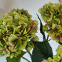 Lime Green Silk Hydrangea Bouquet, thumbnail 2 of 3